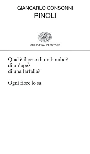 Pinoli consonni 8806247743 - consonni,