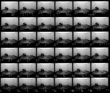 Ugo Mulas. Vitalità del