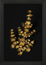 Poster arte da parete con