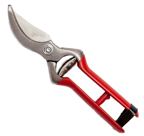 Forbici vigna falci con - vigna,