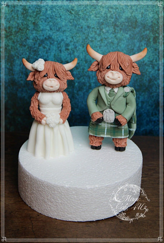 Highland cows sposi kilt - cows,