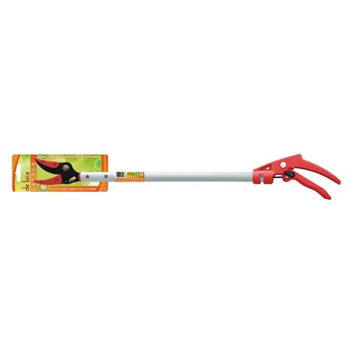 Forbici cogli frutta asparagi - frutta,