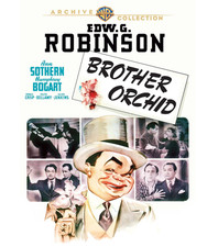 DVD Brother Orchid (1940) NEW