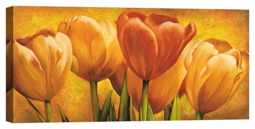 Quadro moderno fiori - , floreale