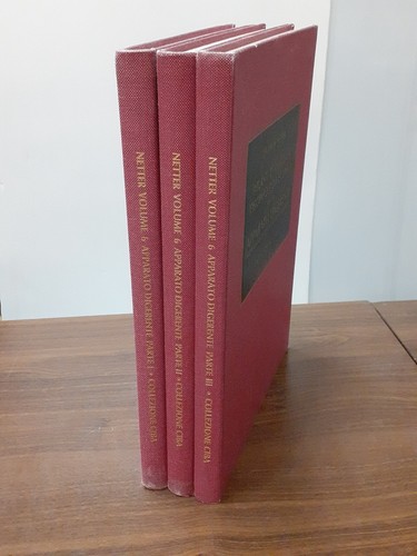 Netter atlante di anatomia - atlante,