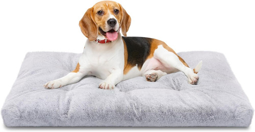 Letto per cani lavabile - letto, medio