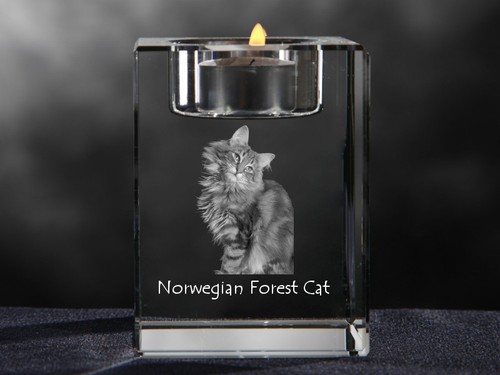 Crystal animals gatto - animals,