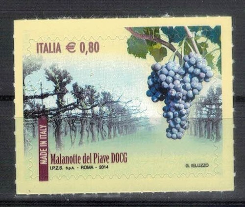 Vini docg malanotte del - vini,