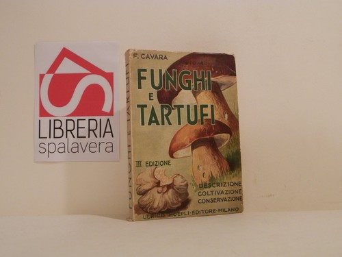 Funghi tartufi descrizione - funghi,