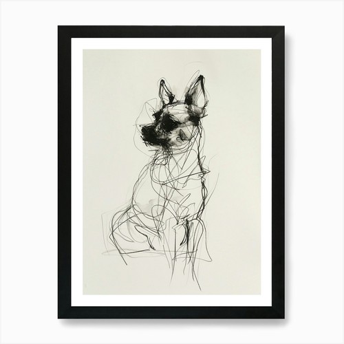 Chihuahua cane linea - carbone, 1