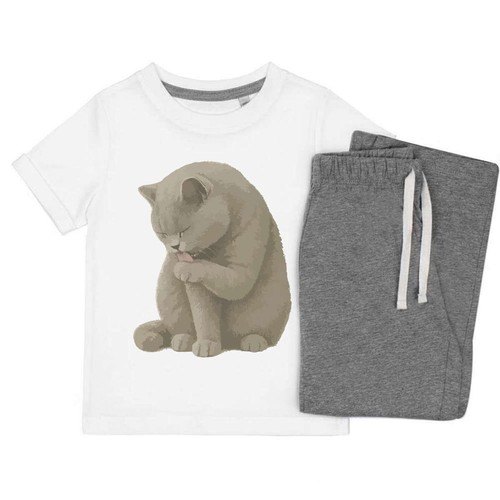 British shorthair cat lecking - shorthair,