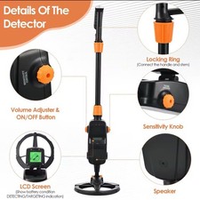 Metal Detector Display Oro