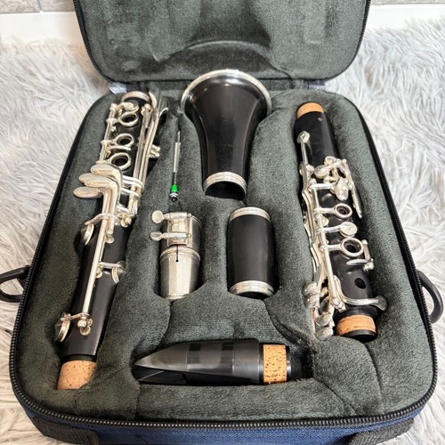 Clarinetto selmer prologue - clarinetto, ii
