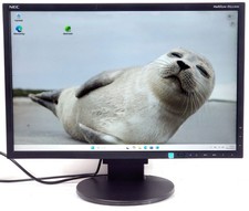 Nec multisync ea223wm - multisync, led