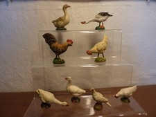 8 diversi pollame da casa di