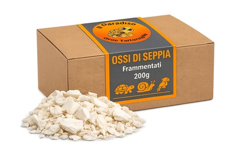 Ossa seppia frammentati - seppia,
