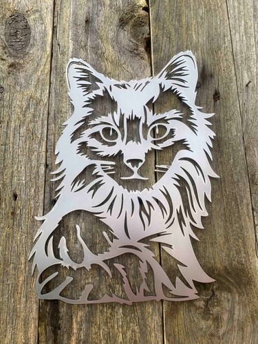 Gatto main coon - gatto, muro
