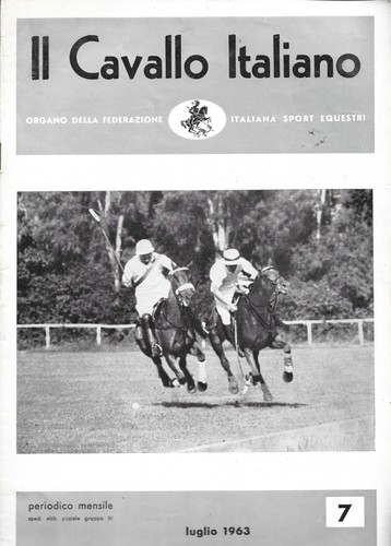 Cavallo italiano 7 - il,