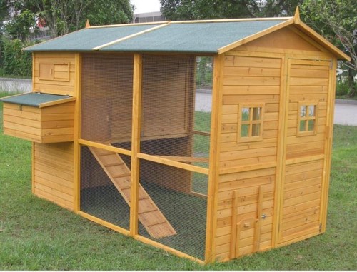Pollaio legno brahma xxxxl - in,