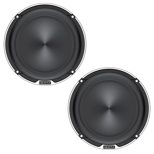 Coppia altoparlanti woofer