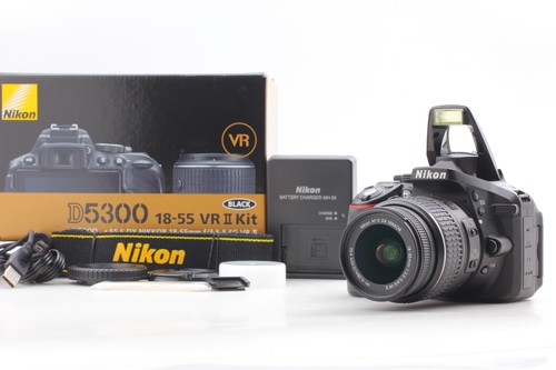 Nikon d5300 megapixel - 24,2,