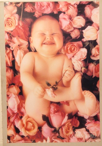 1993 baby anne geddes - 1993,