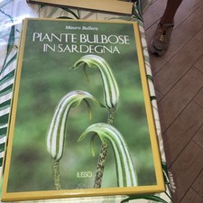 Piante bulbose sardegna - piante, in