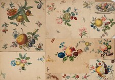 Disegni decorativi con frutta