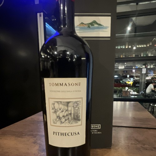 Tommasone pithecusa 2020 - tommasone,