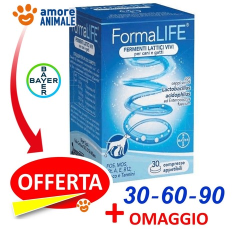 Bayer formalife 90 - bayer, 60