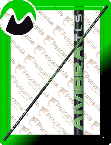 Canna maver ambra tls - canna,
