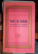 1955 PIANTE DA GIARDINO DA CORTILE DA FINESTRA DA APPARTAMENTO ROSA ADLER