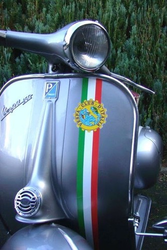 Striscione targa gamba - targa,