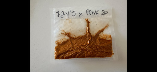 Peperoncino piccante jay - piccante, jay's