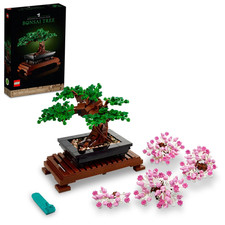 Set Costruzioni Bonsai Icone -