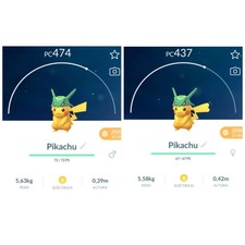 Pikachu with Rayquaza Hat -