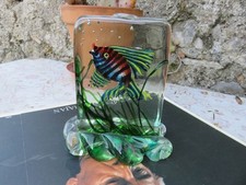 Aquarium Barbini Murano