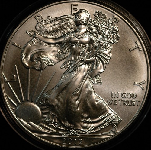 Usa dollaro 2012 oncia 31g - $1,