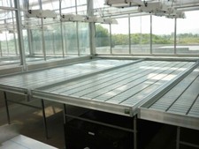 VASSOIO DANESE MOBILE ROLLANTE