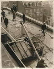 1930 Stampa Foto Radio Albero