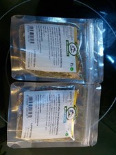 Spaghettata Con Funghi Porcini