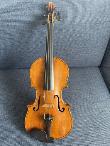 Violino frz dt lavori - frz./dt.,