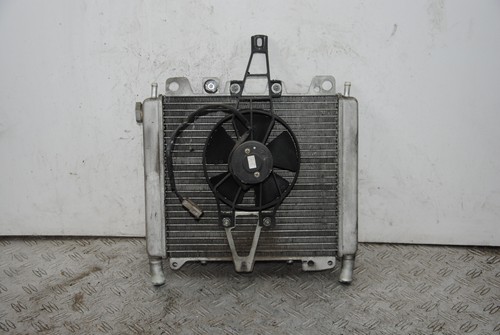 66847 radiatore - 66847,