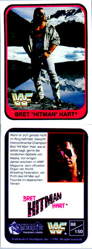 1991 merlin wwf wwe bret - merlin,