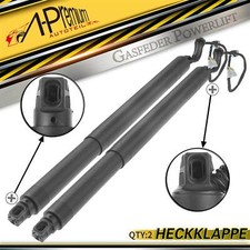 2 molle a gas portellone