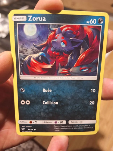Zorua french shining - zorua,