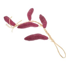  Stringa di verdure finte di