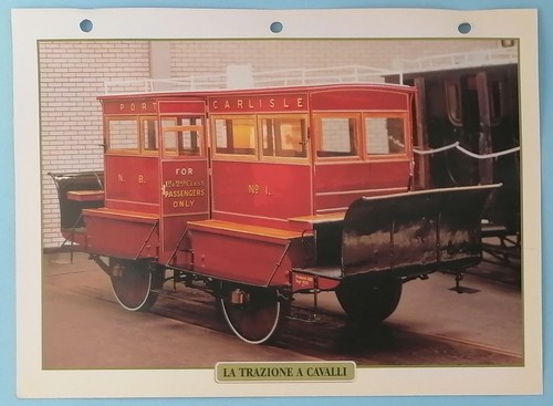 Trazione cavalli treni - cavalli,
