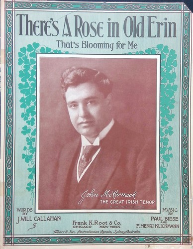 Una rosa nella - rosa,