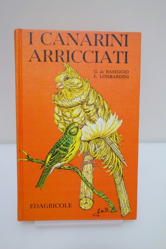 Canarini arricciati baseggio - i,